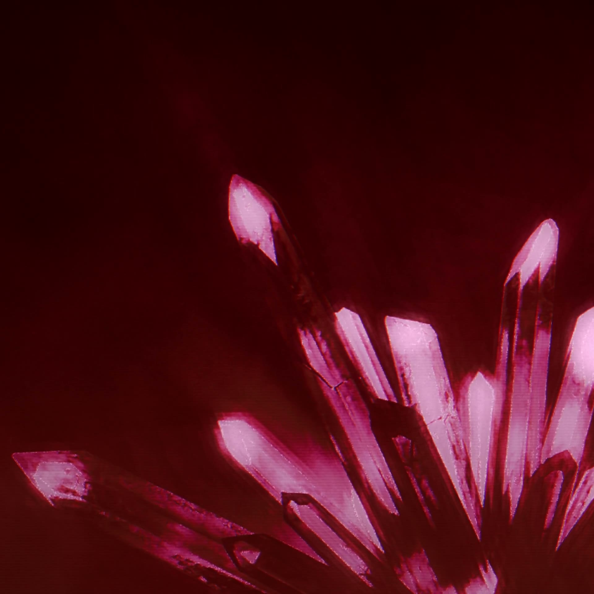 Muffler — Can You Feel the Light · 020.8.6A