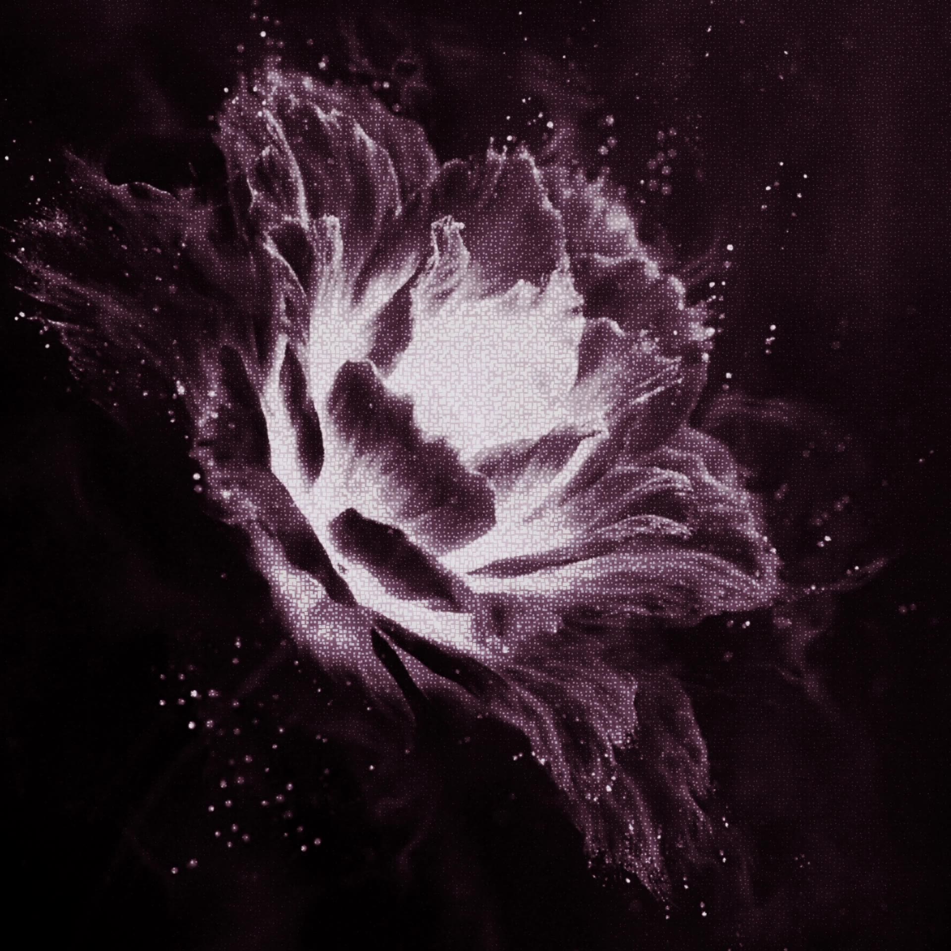 Ownglow — Wonder · 047.4.5O