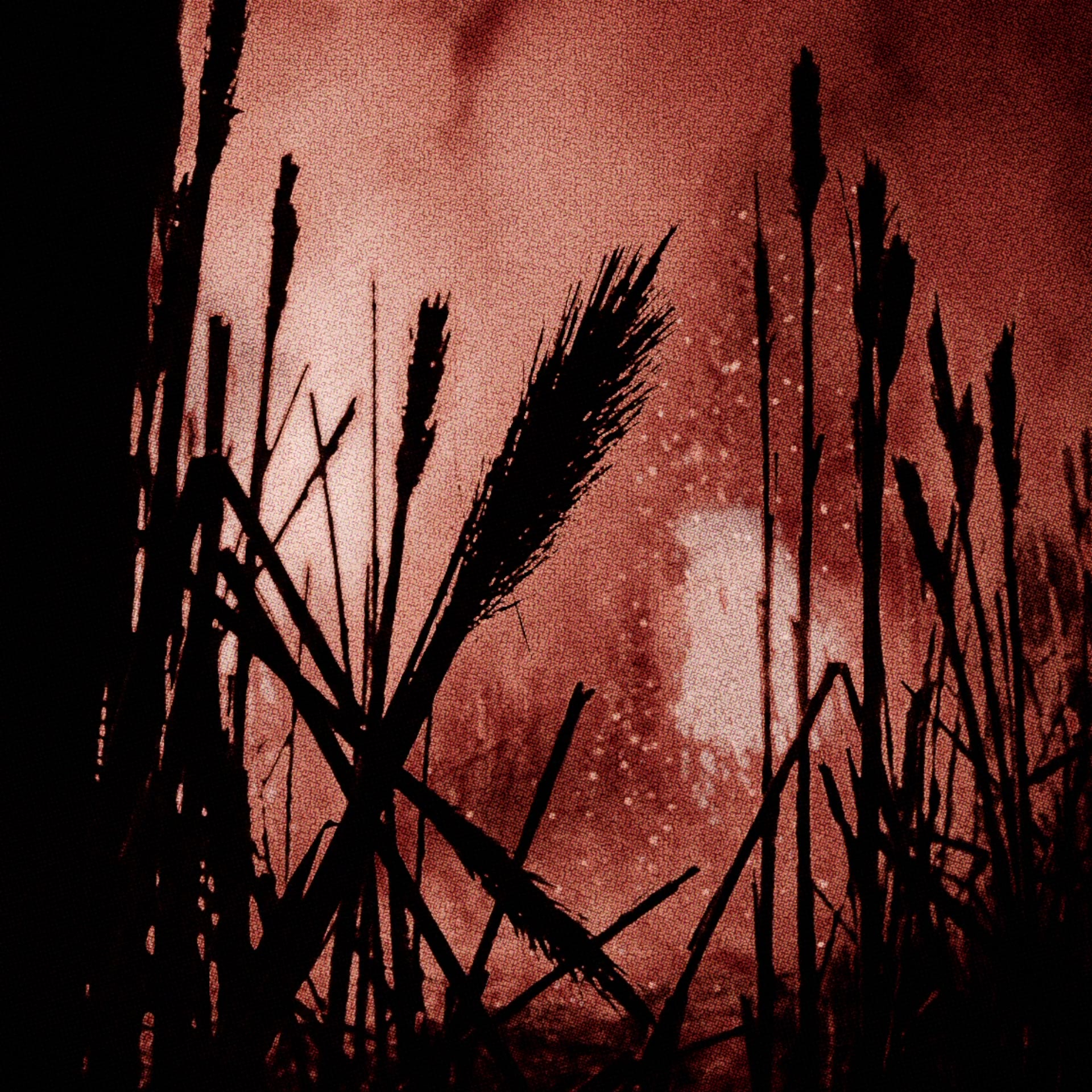 Muffler — Dance Around The Campfire - Extended Mix · 104.3.7B